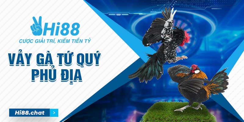 Vảy gà Tứ Quý Phủ Địa là gì? Cách nuôi gà đánh đâu thắng đó 1 vảy gà tứ quý phủ địa